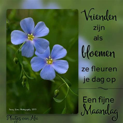 Pin Van Annelies Monsma Bruggers Op Goedemorgen Maandag Goedemorgen