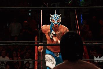 Juego de la foto de lucha libre 2 0 Página 120 ElAntro