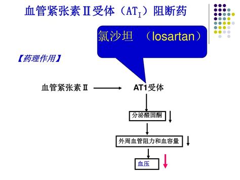 Ppt 第 25 章 抗高血压药 Antihypertensive Drugs Powerpoint Presentation