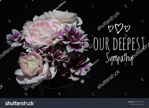 Our Deepest Sympathy Card Beautiful Pink Stock Photo 1879847731