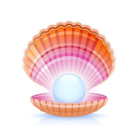 Premium Vector | Open sea shell with pearl, realistic vector illustration.