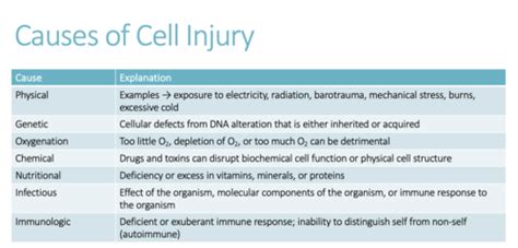 ITD Lect 1 B Cellular Response To Injury Flashcards Quizlet