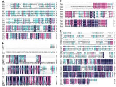 Ijms Free Full Text Gonadal Transcriptome Analysis And Sequence