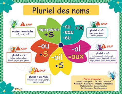 Pluriel Des Noms L Indispensable