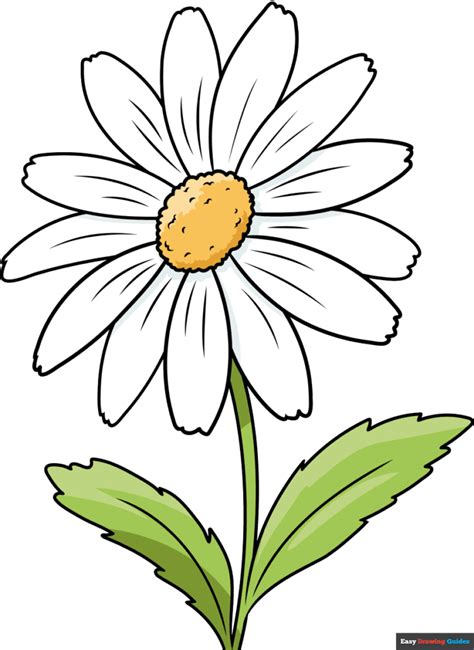 Flower Drawing Easy | Best Flower Site