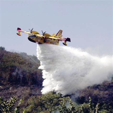 La Sicilia Continua A Bruciare Incendi Divorano Ettari Di Macchia