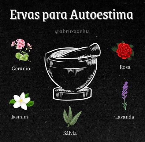 ERVAS PARA A AUTOESTIMA Wicca Bruxaria Amino