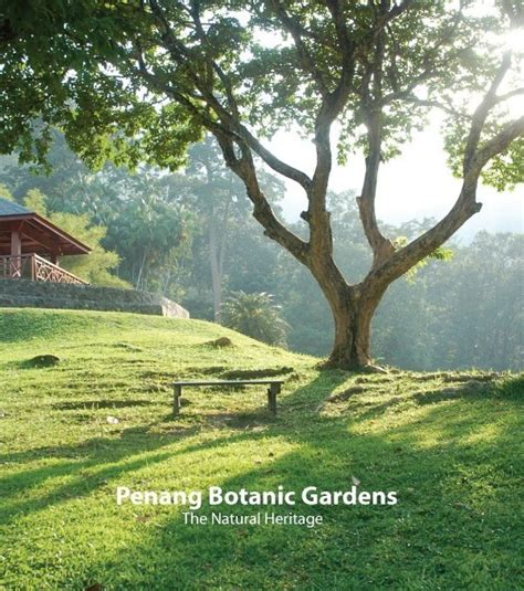 Botanical Gardens │Malaysia Tourism│Penang Tourism│Penang Attraction