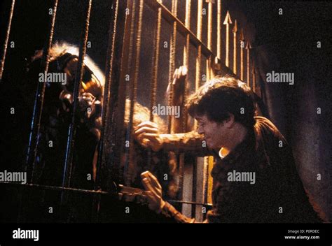 An american werewolf in paris hi-res stock photography and images - Alamy