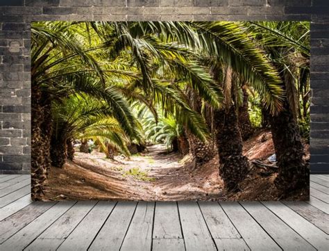 Bild Palma Am Strand Fototapetenwelt De