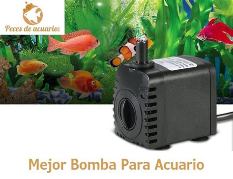 ILUMINACIÓN EN EL ACUARIO Tipos de Luces de Acuario