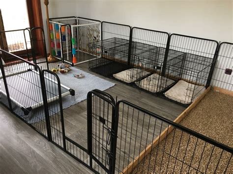 Pin by Diana Muldoon on Dog stuff | Indoor dog kennel, Dog kennel, Dog rooms