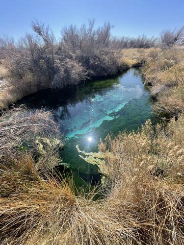 Best Hikes and Trails in Ash Meadows National Wildlife Refuge | AllTrails