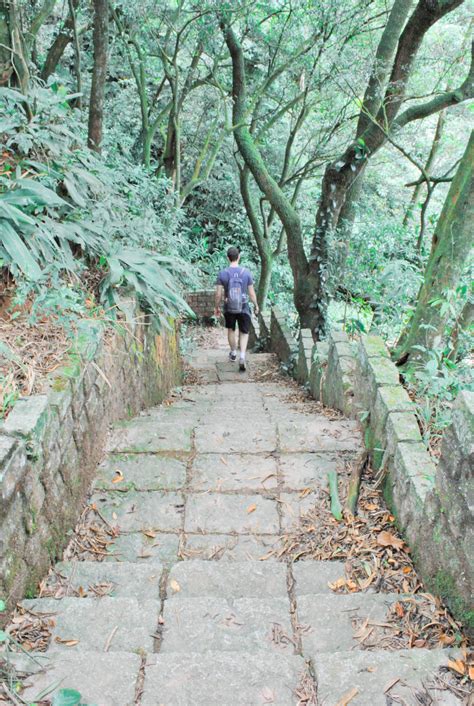 Estrada Velha De Santos A Trilha Caminhos Do Mar Em S O Paulo