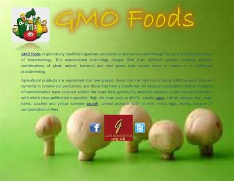 Gmo Foods Ppt