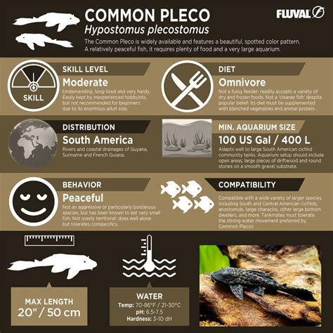 Species Spotlights Archive - Page 2 of 6 - Fluval USA