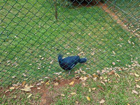 Birds Park Hambantota - Omaya Tours