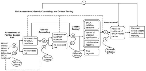 Figure 1 Analytic Framework And Key Questions Risk Assessment