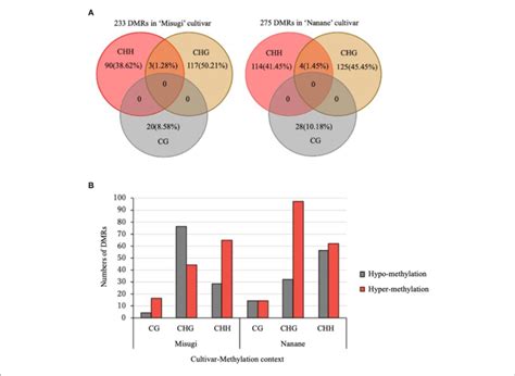 Differentially Methylated Regions DMRs Between Control Cotyledons