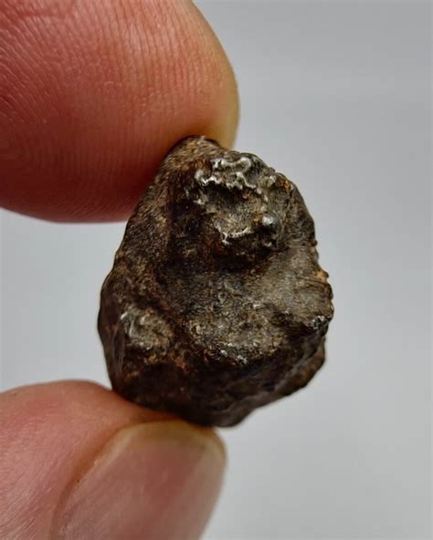 Meteorite Nwa Acondrite Winonaite G Catawiki