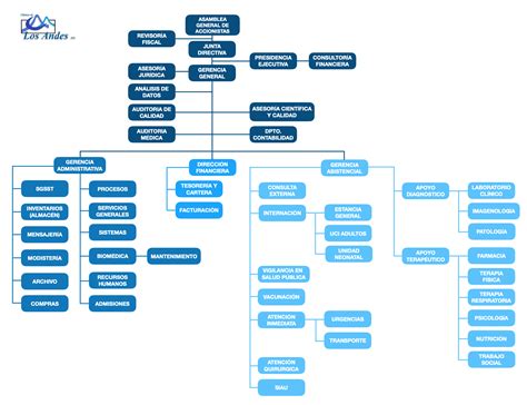 Organigrama De Un Laboratorio Clinico