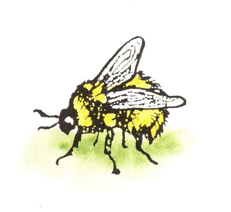 Bumble Bee Illustrations - Cliparts.co