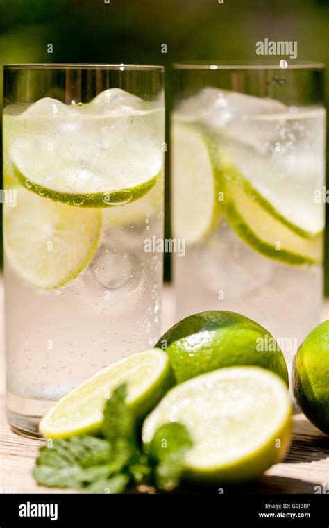 Fresh Cold Refreshment Drink Mineral Water Soda With Lime And Mint