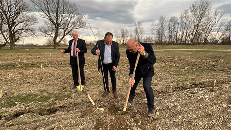 Foto Z Voiul Copil Riei Replantat La Ver Eni Ale I Locali I