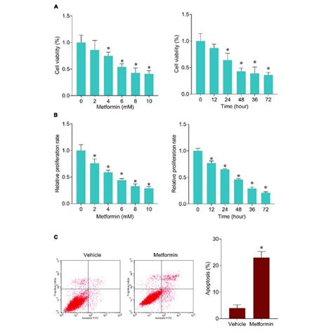 Metformin Inhibits Cell Viability And Induces Apoptosis In Fadu