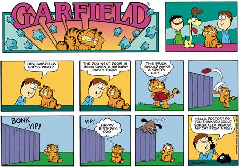 A Comic Strip About Garfield The Cat