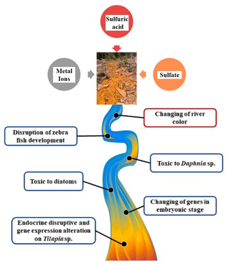 Water Free Full Text Resource Utilization Of Acid Mine Drainage