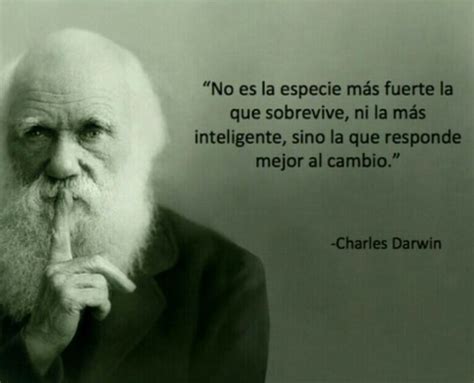 Frases Célebres Charles Darwin Imanbox