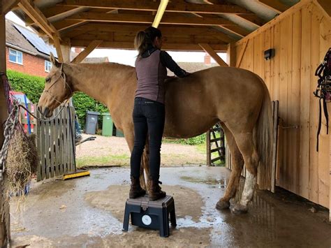 Myofascial Therapy — Jessica Limpkin Equine Massage Therapy