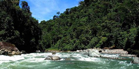 Cotacachi-Cayapas Ecological Reserve, Ecuador. Travel - PlanetAndes