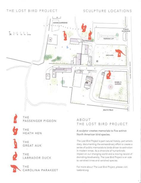 LOST BIRD PROJECT — NORMAN BIRD SANC MAP | KRISTI PETERSEN SCHOONOVER