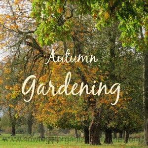 Autumn Gardening Tips - How To Get Organized At Home