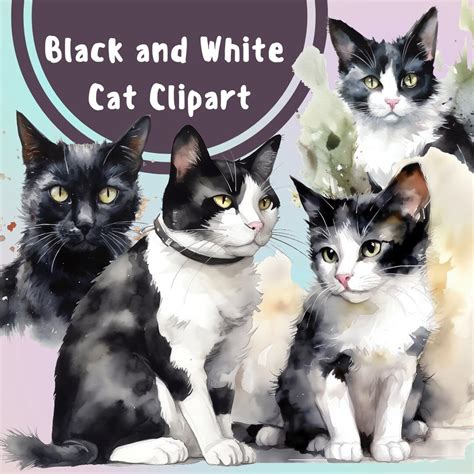 Cute Black and White Cat Clipart, Cat PNG, Watercolor Cat Clip Art ...