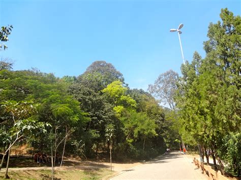 Bosque Maia Em Guarulhos Sp Reas Verdes Das Cidades Guia De