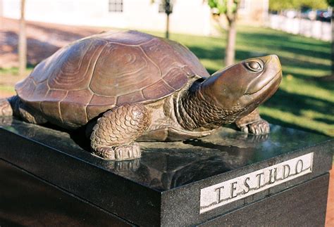 Testudo_2 | Bronze statue of "Testudo", the University of Ma… | Flickr