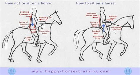 Pin By Kristen Cantow On Horse Sense Horse Riding Tips Horseback