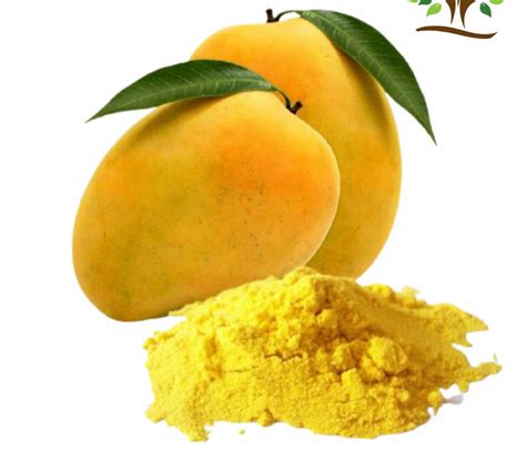 Dry Mango Powder At Rs 2500kg Amchur Powder In Ahmedabad Id