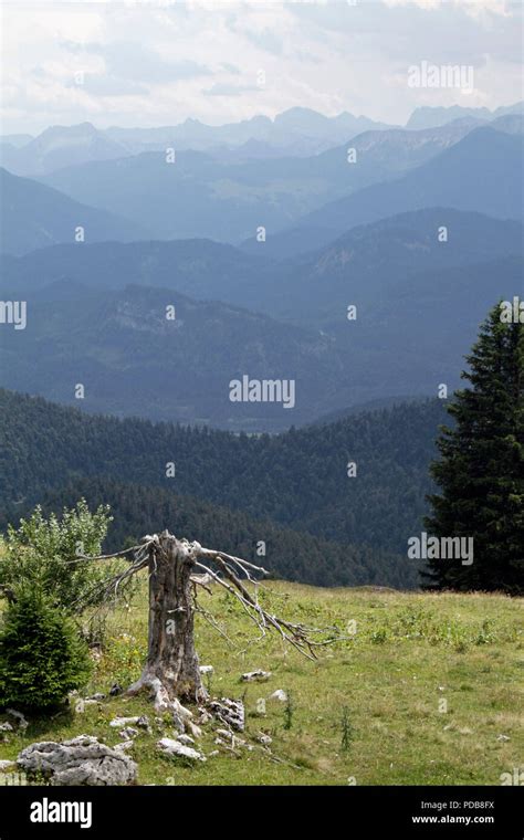 Beautiful mountain range in the Alps Stock Photo - Alamy