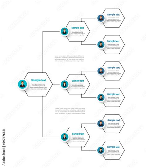 Corporate organizational chart. Business hierarchy infographic elements ...