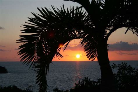 Sand Dollar Cay The Berry Islands Bahamas Caribbean Private Islands For Sale