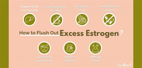 7 Natural Solutions On How To Flush Out Excess Estrogen From Body