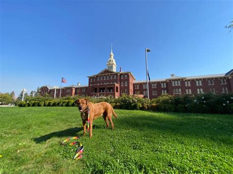 Oregon State Hospital – Walkies Through History