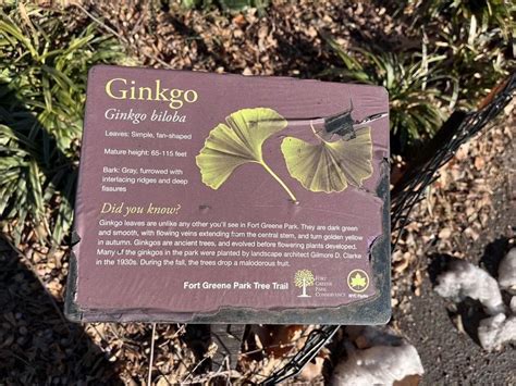 Ginkgo Historical Marker