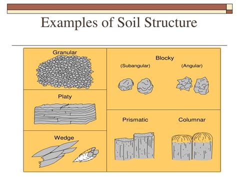 Soil Texture Types