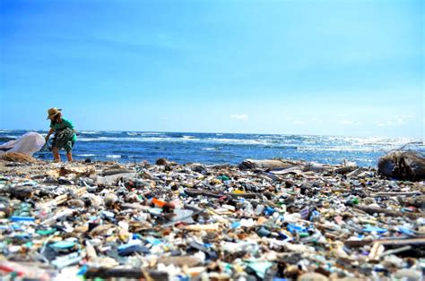 プラスチックゴミの分解速度 一般社団法人mfisea