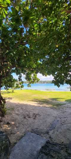 From Trou D Eau Douce Ile Aux Cerfs Speedboat Tour W Lunch Getyourguide